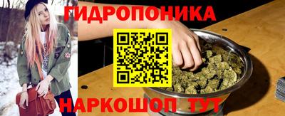 гидропоника Краснознаменск