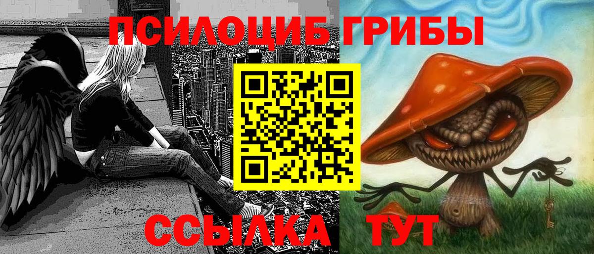 Ковров  Галлюциногенные грибы Psilocybine cubensis  Вход с VPN 
