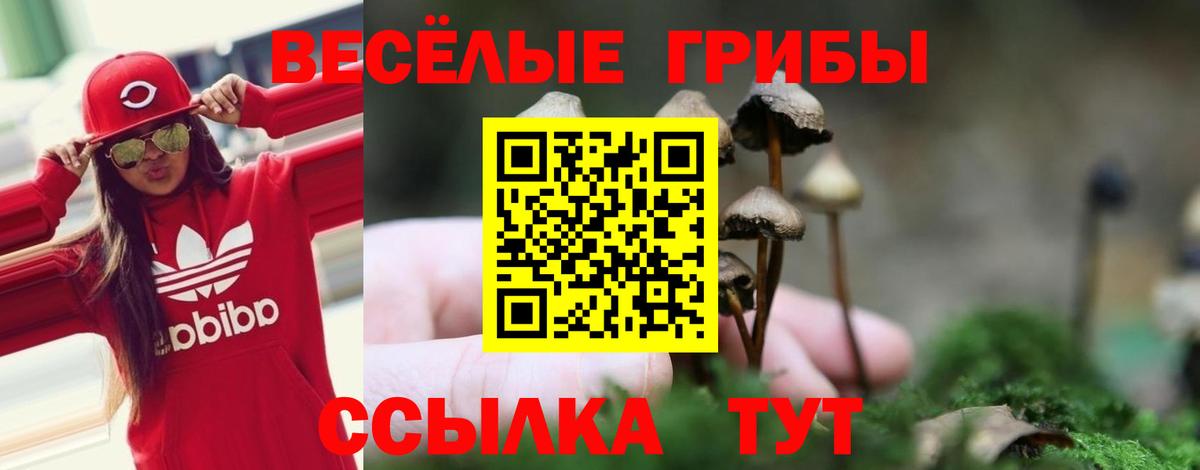 Галлюциногенные грибы мицелий Ковров